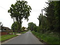 TM0780 : School Road, Bressingham by Geographer