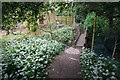 Path over a brook in Brookside