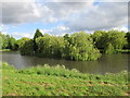 Weeping willow trees on islands in Highfields Lake