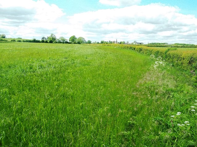 Footpath and Field Edge near Sutton on the Hill