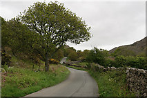 SD1499 : The Road to Birker Fell by Peter Trimming