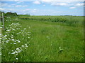 Field alongside Graveney Road