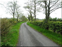H5173 : Rushill Road, Killycurragh by Kenneth  Allen
