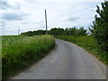 The road to Graveney Hill