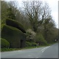 SO3887 : A topiary gateway at Plowden by David Smith