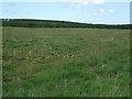 Farmland off Green Lane