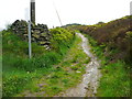 Track to Wolfstone Heights, Netherthong