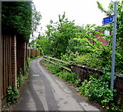 SU3621 : Footpath towards Romsey town centre by Jaggery