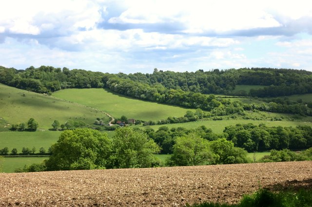 A Chiltern View near Turville