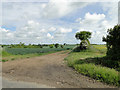 The footpath off Rattlesden Road