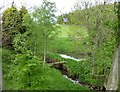 Pond beside the Molesden Burn