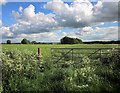 Farmland near The Crown at Tolldown