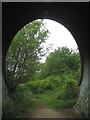 TQ0190 : M25 Motorway: Mopes Farm Subway (2) by Nigel Cox