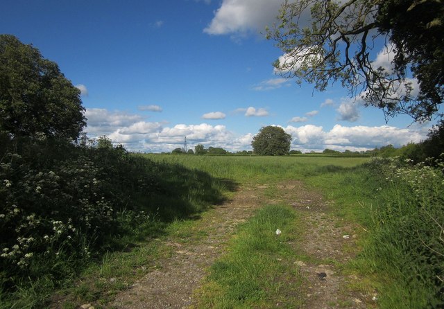 Field near Westerleigh Hill