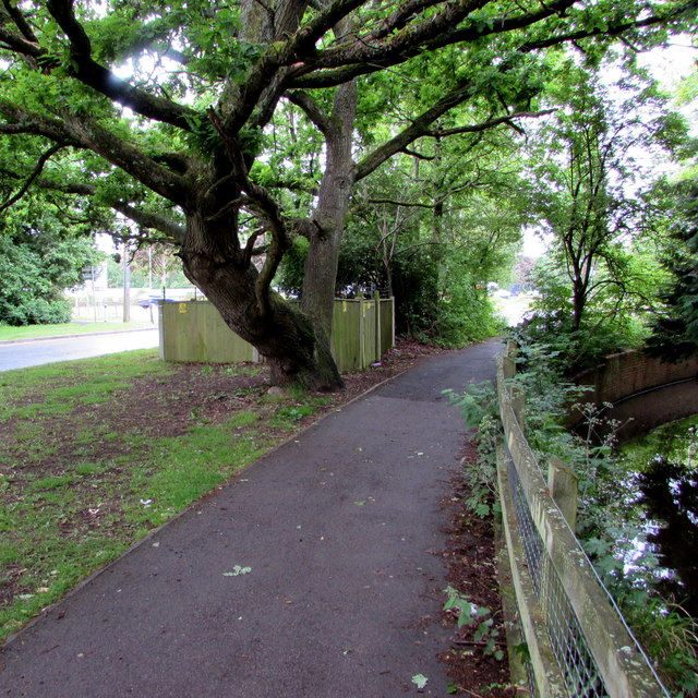 Knatchbull Close footpath, tree, electricity substation and stream, Romsey