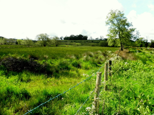 Rushy Ground, Dullaghan © Kenneth Allen :: Geograph Ireland