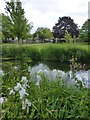 Westgate Gardens, Canterbury