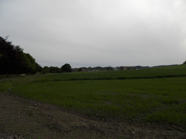 Farmland at Wester Kilmany