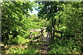 Footbridge on the River Ayr Way