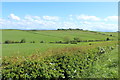 Farmland near Broadhead