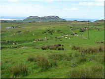 SH5641 : Sheep pasture between Beudy Cefn and Fach-goch by Christine Johnstone