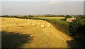 Bales, Higher Trenode