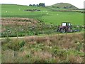 SH5642 : Sheep pasture, south of Llyn Du by Christine Johnstone