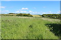 Farmland at Belston