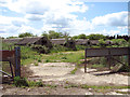 Disused sheds at the old mink farm