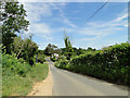 Steep hill down to Rushbanks Farm