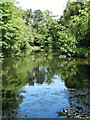 Brookfield Pond, Whaley Bridge