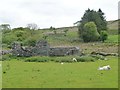 SH5345 : Ruin in the meadow, near Pony y Ddol by Christine Johnstone