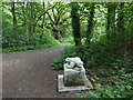 The Lindford Oak seen with toad sculpture