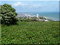 Looking over Eastbourne