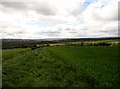 Public path to Morrowfield Farm