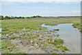 Pilley, wetland