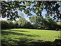 Meadow near Sloncombe