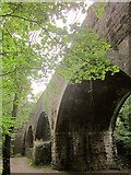 ST5475 : Railway viaduct, Miles Dock by Derek Harper