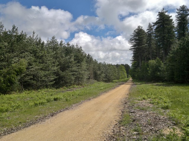 Track through Sherwood Pines Forest Park © Chris Morgan cc-by-sa/2.0 ...