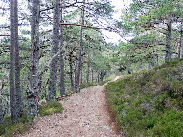 The recently renovated Allt Ruadh path