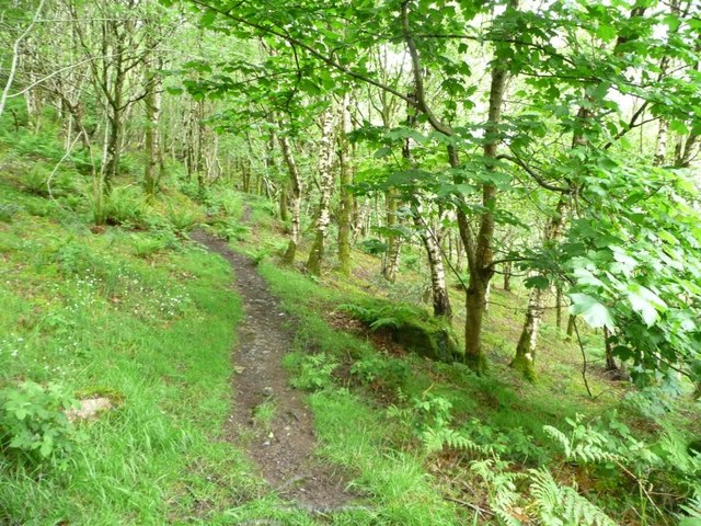 Public footpath on the east side of Moel... © Christine Johnstone ...