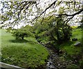 The Small Burn, near Ebchester