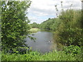 Lake east of Church Field, Rossington