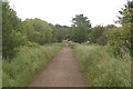 View back along the path to Bury Road