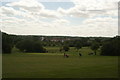 View over Chingford from the path by the golf course #3