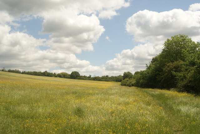 View across Yates Meadow towards... © Robert Lamb :: Geograph Britain ...