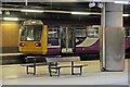 SJ8399 : Northern Rail Class 142, 142036, platform 6, Manchester Victoria railway station by El Pollock