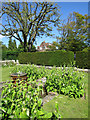 Winchelsea open gardens