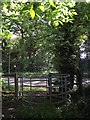 Footpath emerges onto the B5380