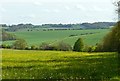 SU3280 : Buttercup field, Upper Lambourn, Berkshire by Oswald Bertram